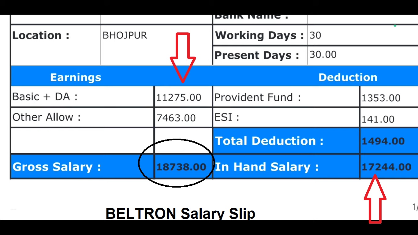 BELTRON DEO Salary Slip